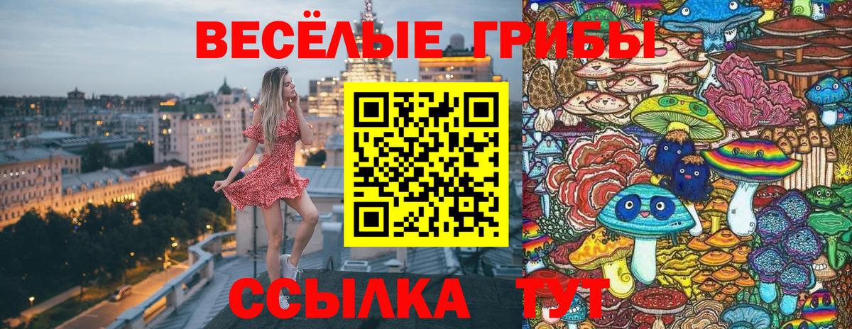 Галлюциногенные грибы мицелий  купить  цена  Борзя  Вход с VPN 